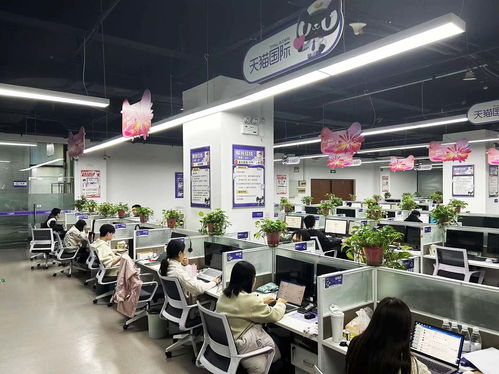 揚(yáng)州天貓國(guó)際自營(yíng)服務(wù)中心迎咨詢(xún)高峰，300名大學(xué)生支援客服工作